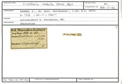 Karteikarte zum Belegmaterial von Cristellaria modesta (Reuss, 1860)